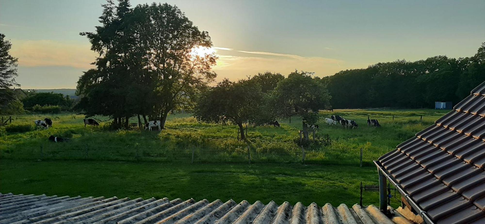 Le Thuit - F2 Plain Pied Tout Equipe A La Ferme Charleval  المظهر الخارجي الصورة