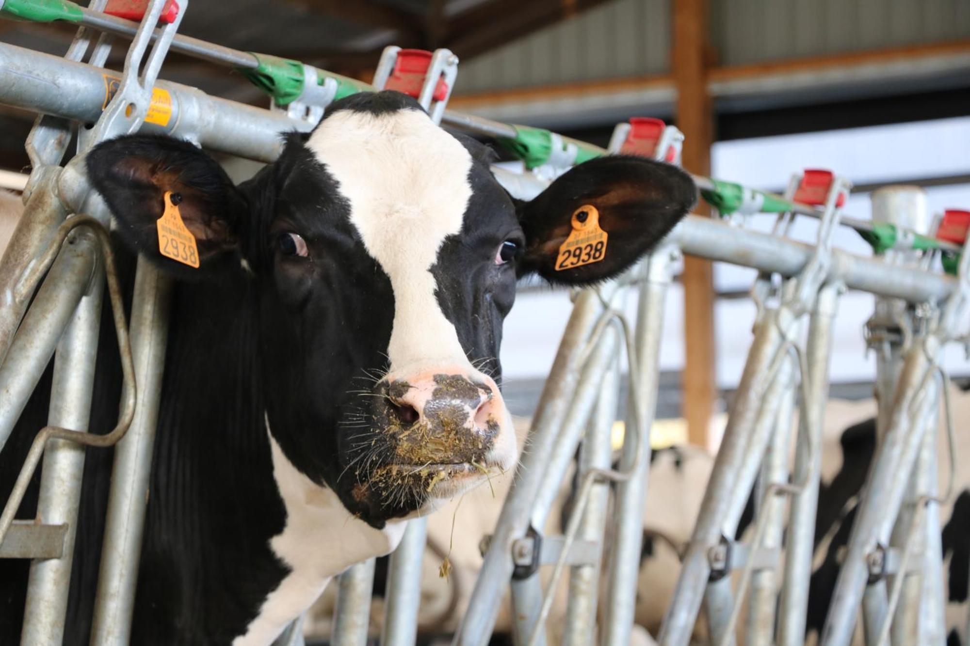 Le Thuit - F2 Plain Pied Tout Equipe A La Ferme Charleval  المظهر الخارجي الصورة