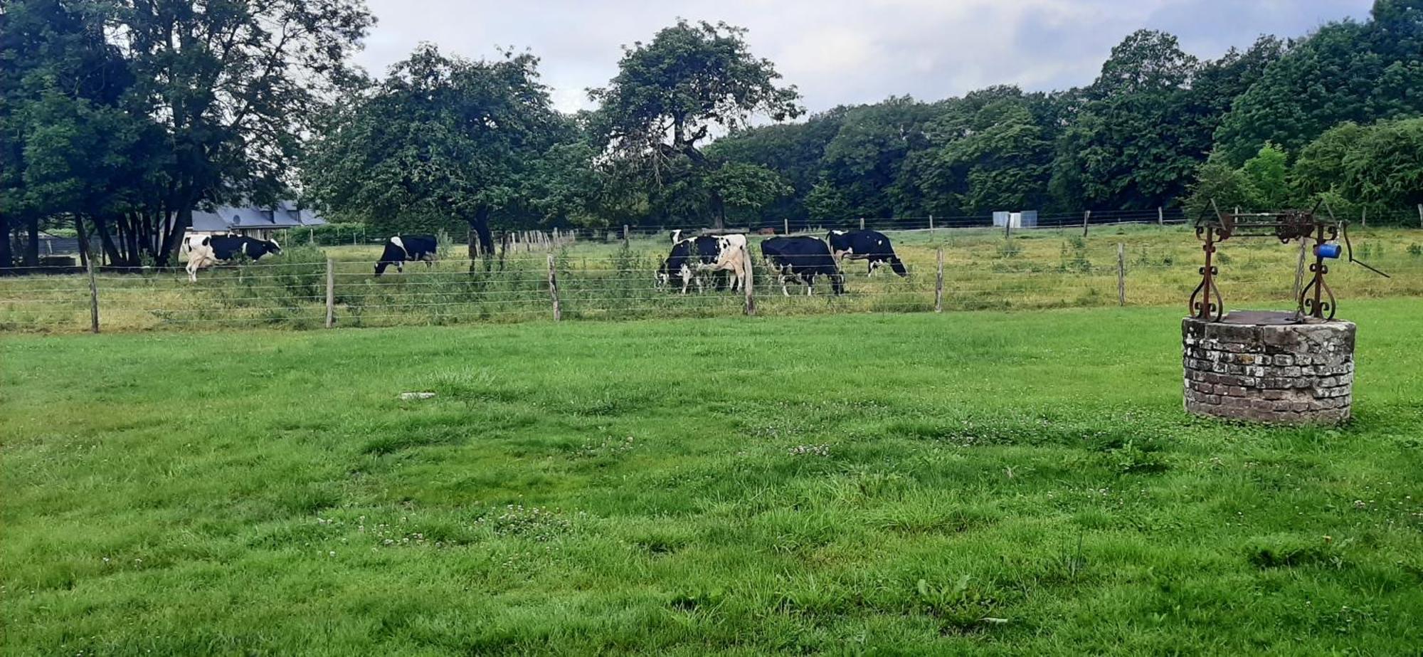 Le Thuit - F2 Plain Pied Tout Equipe A La Ferme Charleval  المظهر الخارجي الصورة